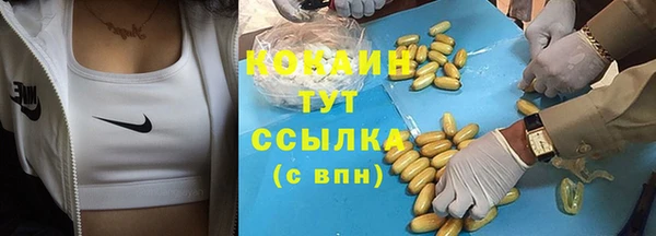 спиды Богданович