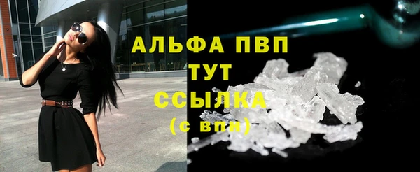 спиды Богданович
