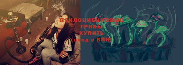mix Богородск