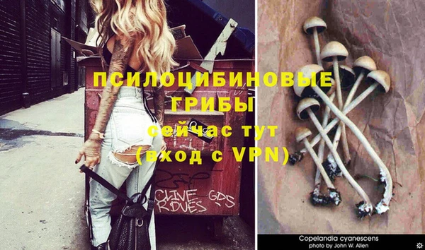 каннабис Богородицк