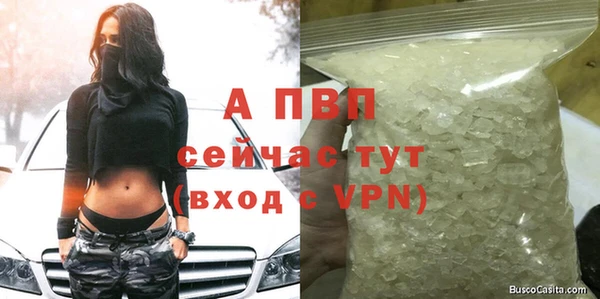 спиды Богданович