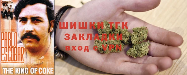спиды Богданович