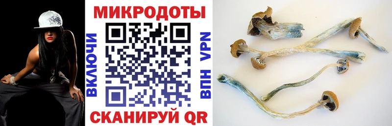Псилоцибиновые грибы MAGIC MUSHROOMS  купить наркотики сайты  Менделеевск 